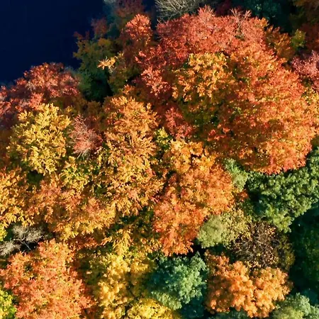 Parkresidenz Lychen, 6