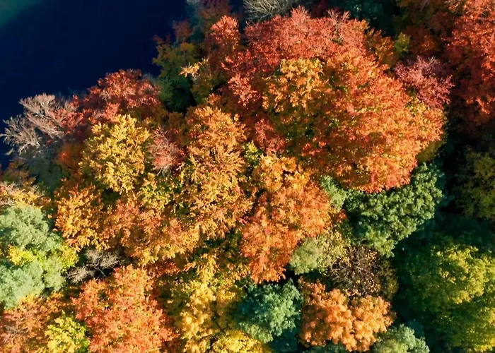 Parkresidenz Lychen, 6